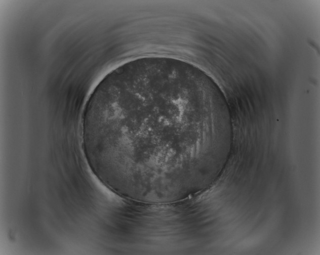 X0000091551531200709071204