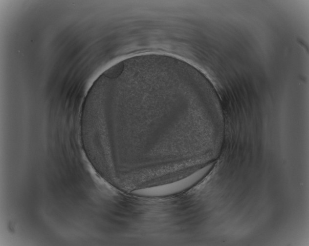 X0000091551534200709071204