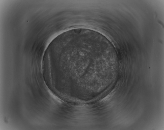 X0000091551535200709071204