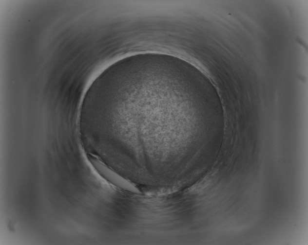 X0000091551536200709071204