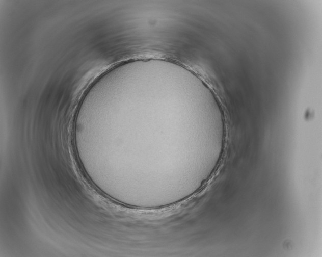 X0000091550001200709141525