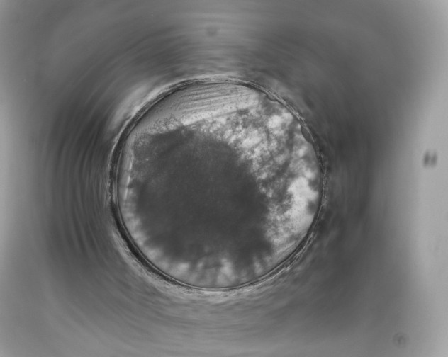 X0000091550002200709141525