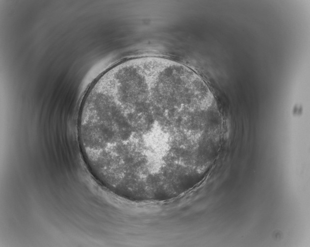 X0000091550004200709141525