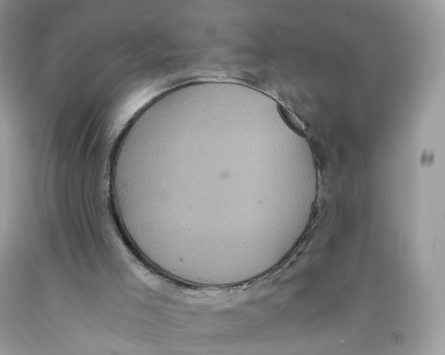 X0000091550005200709141525