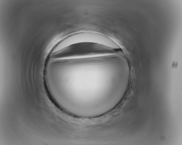 X0000091550007200709141525