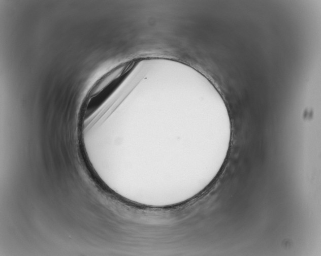 X0000091550008200709141525