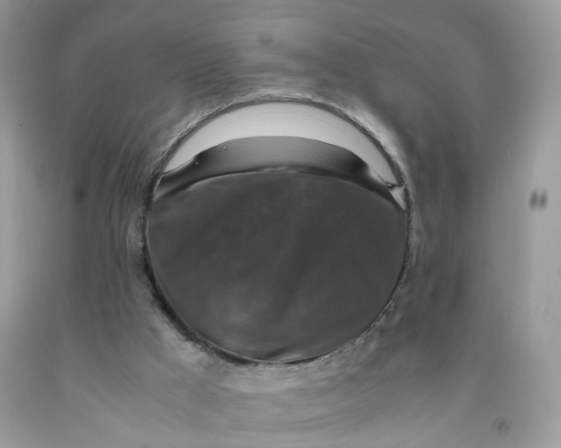 X0000091550009200709141525