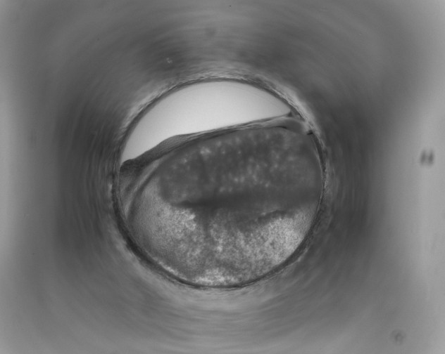 X0000091550010200709141525