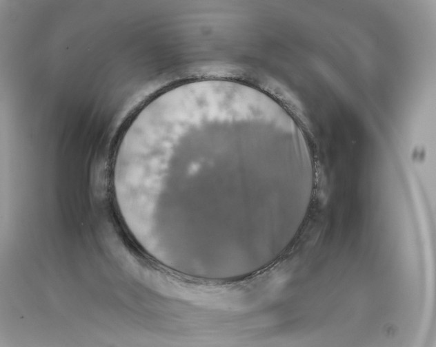 X0000091550012200709141525