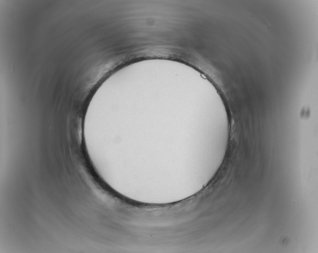 X0000091550013200709141525