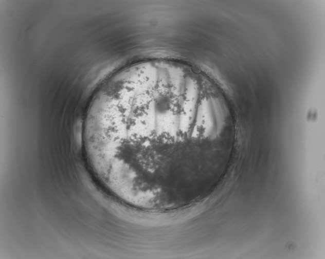 X0000091550014200709141525