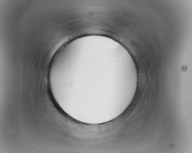 X0000091550015200709141525