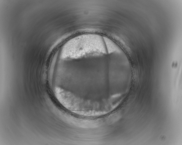 X0000091550016200709141525