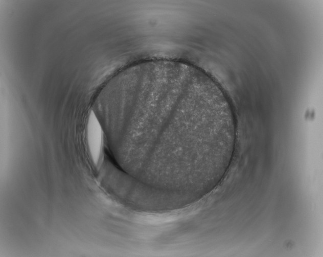 X0000091550017200709141525