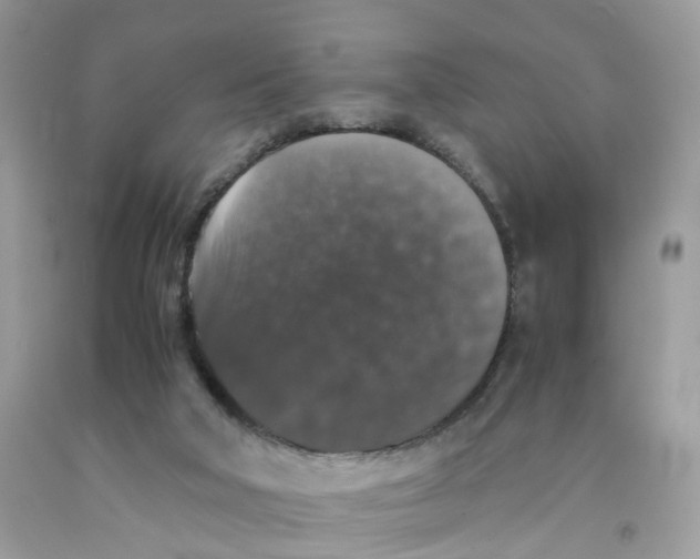 X0000091550018200709141525