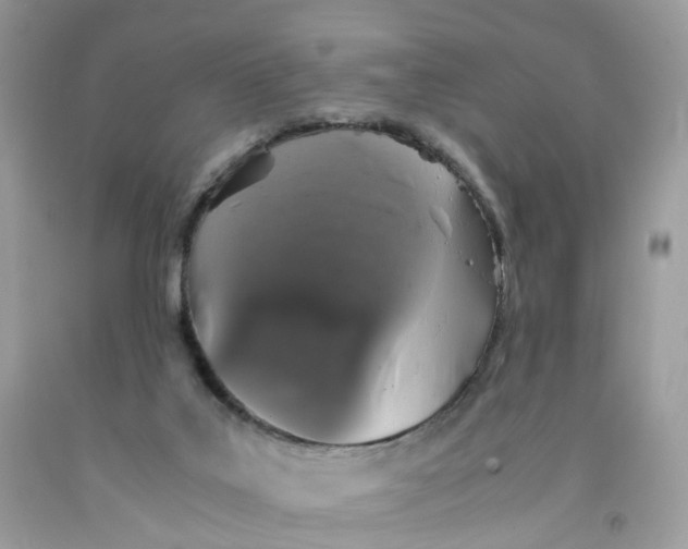 X0000091550019200709141525