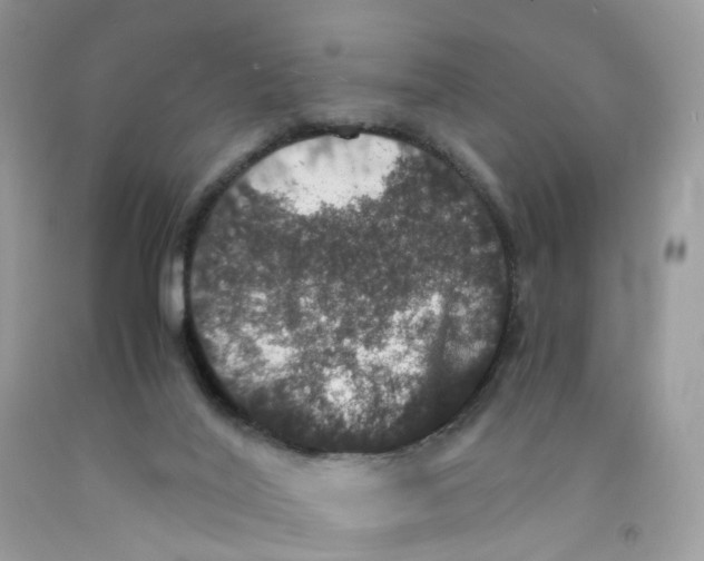 X0000091550020200709141525