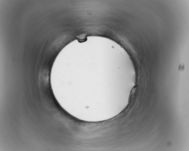 X0000091550021200709141525