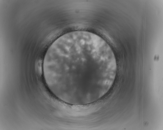 X0000091550022200709141525