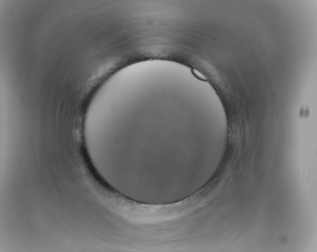 X0000091550023200709141525