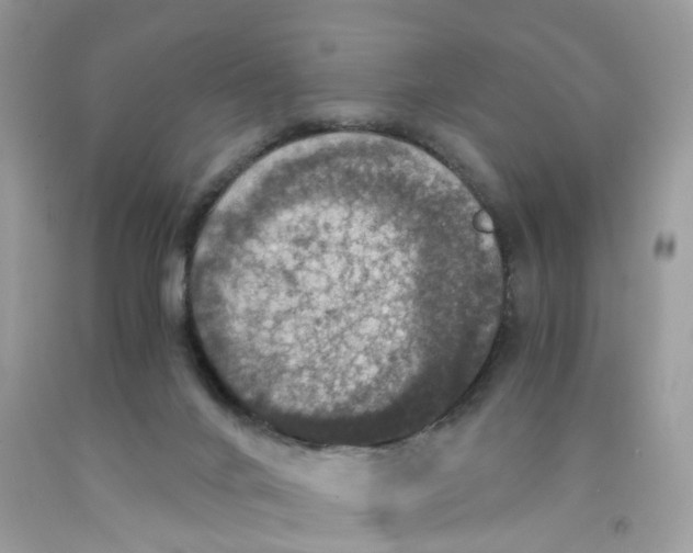 X0000091550024200709141525