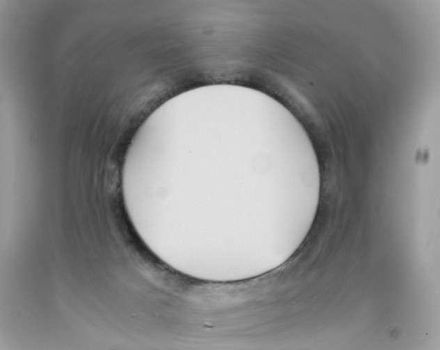 X0000091550025200709141525