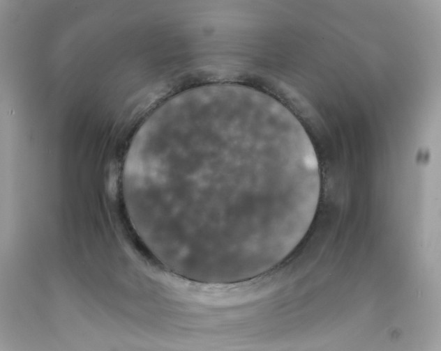 X0000091550026200709141525