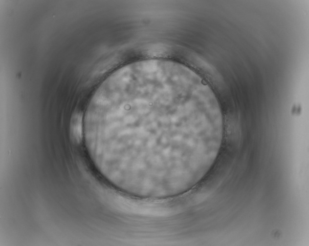 X0000091550028200709141525