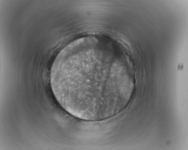 X0000091550029200709141525