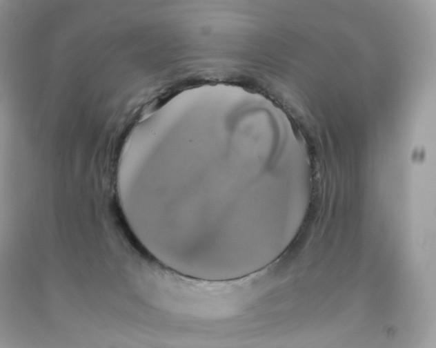 X0000091550031200709141525