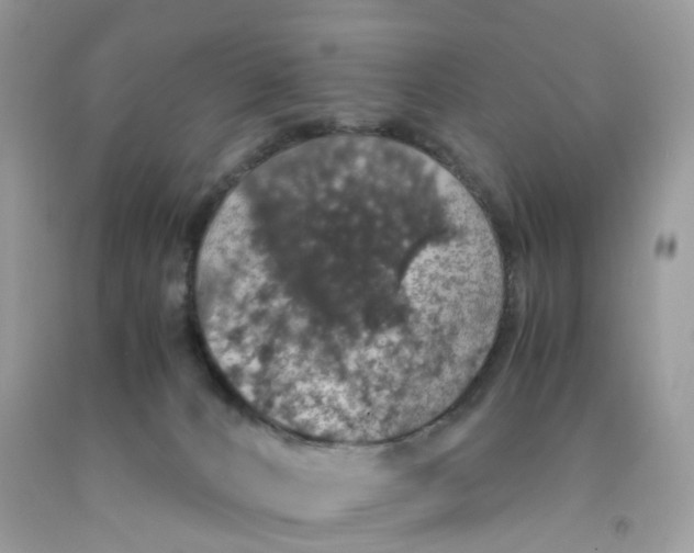 X0000091550032200709141525