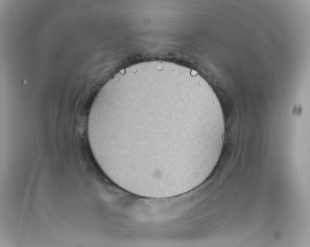 X0000091550033200709141525