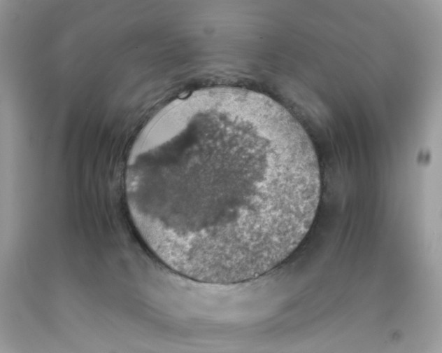 X0000091550034200709141525