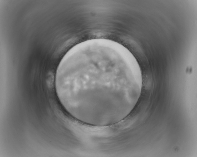 X0000091550036200709141525