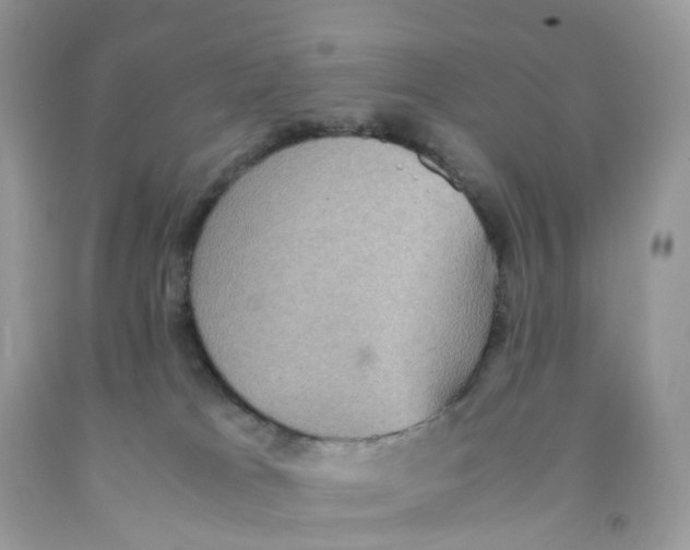 X0000091550037200709141525