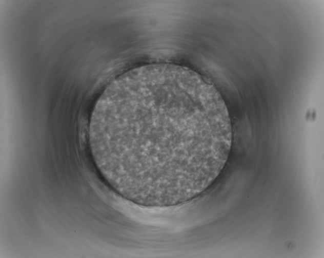 X0000091550038200709141525