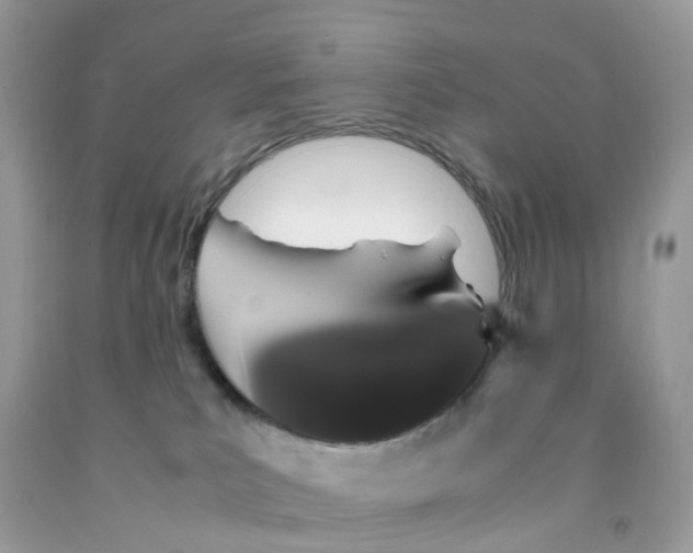 X0000091550039200709141525