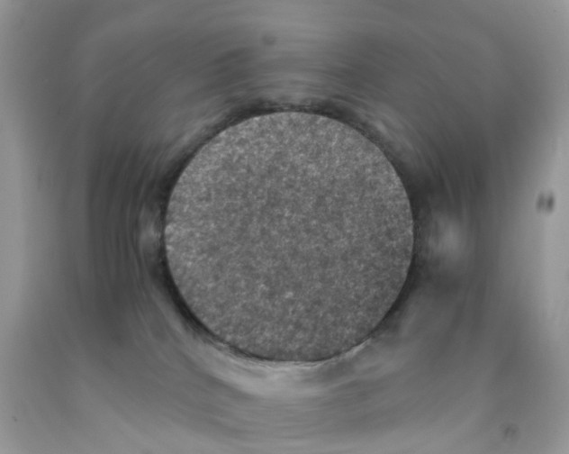 X0000091550040200709141525