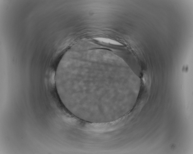 X0000091550041200709141525