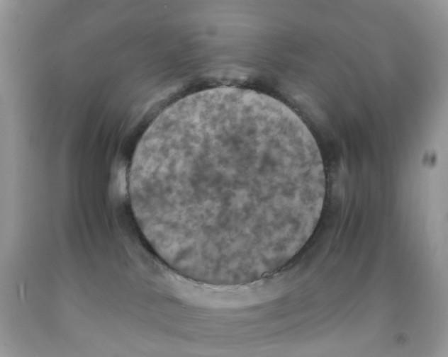 X0000091550042200709141525