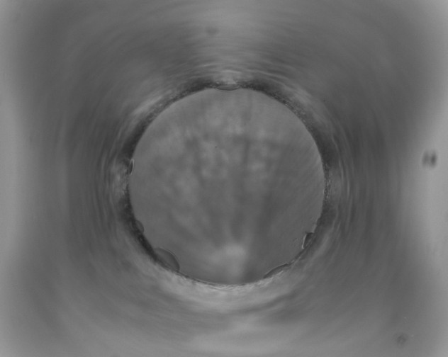 X0000091550043200709141525