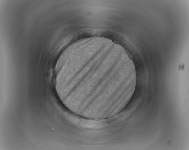 X0000091550044200709141525