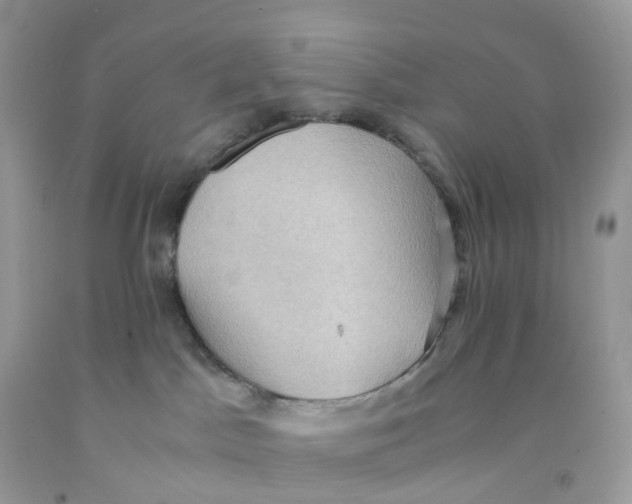 X0000091550045200709141525