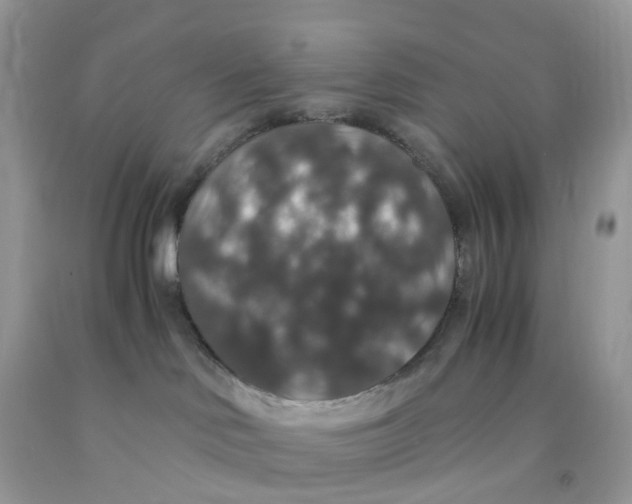 X0000091550046200709141525