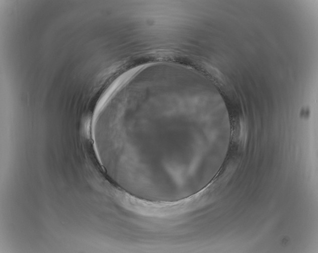 X0000091550047200709141525