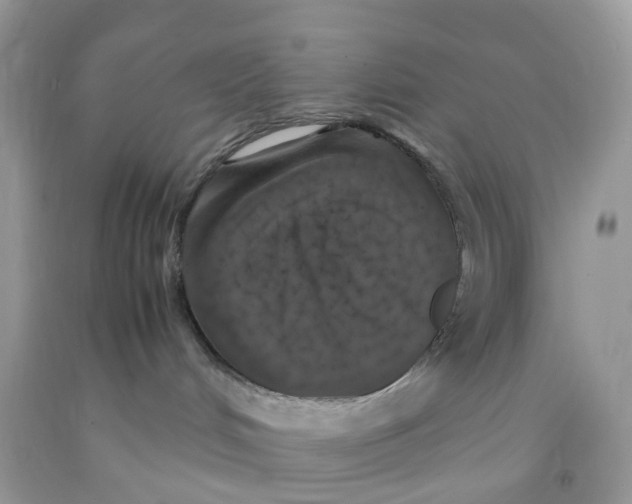 X0000091550048200709141525