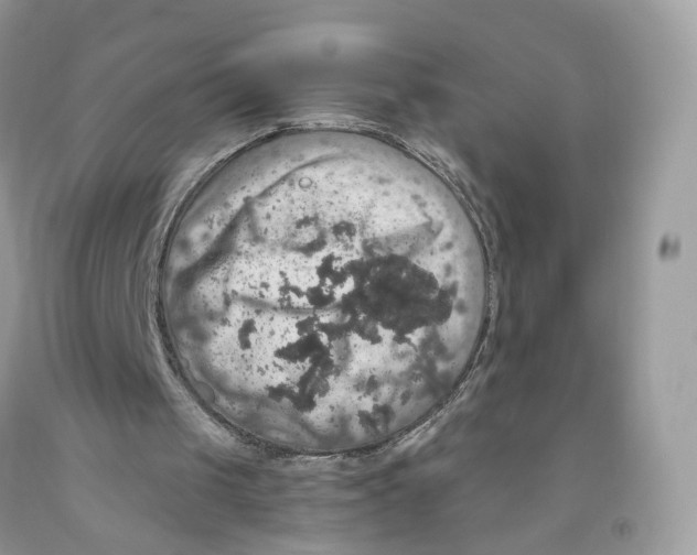 X0000091550049200709141524