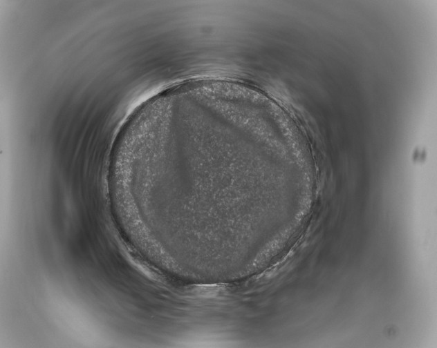 X0000091550050200709141524