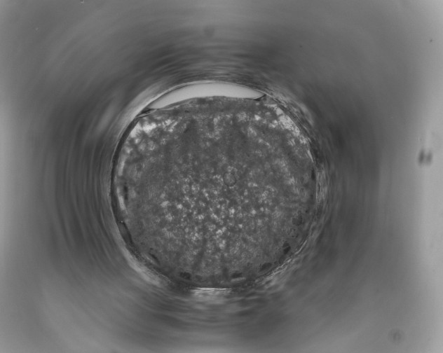 X0000091550051200709141524