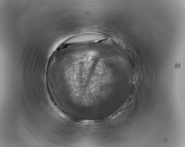 X0000091550052200709141524